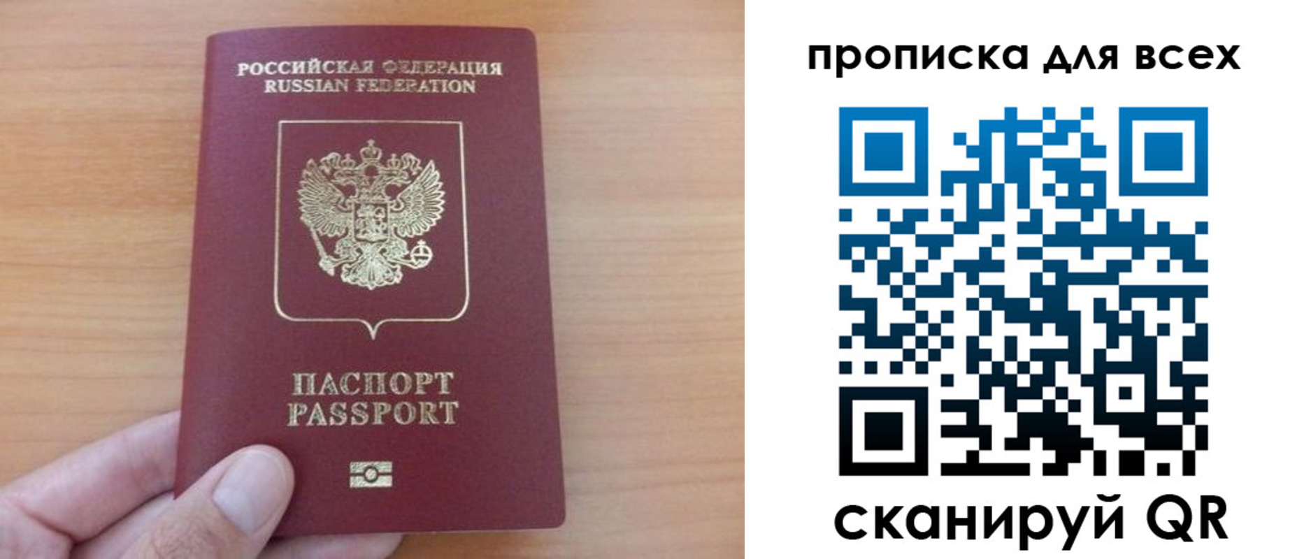 прописка поиск в Тихорецке